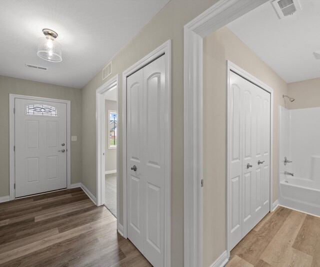 entrance foyer featuring wood-type flooring