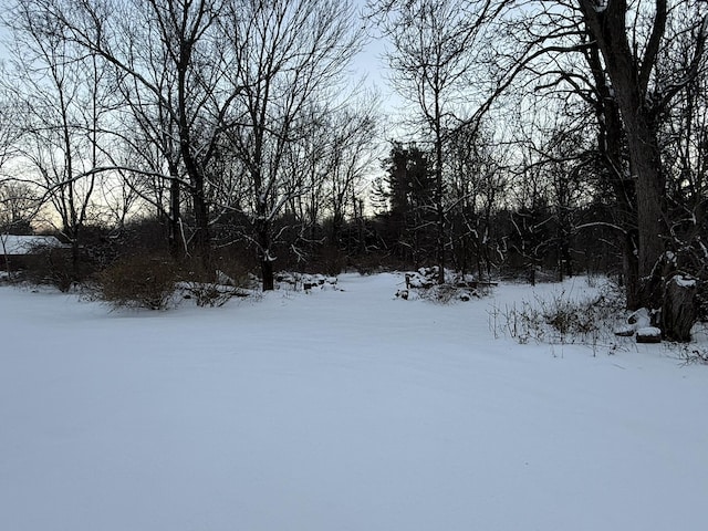 view of snowy yard