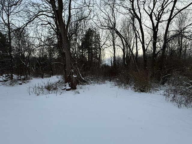 view of snowy landscape