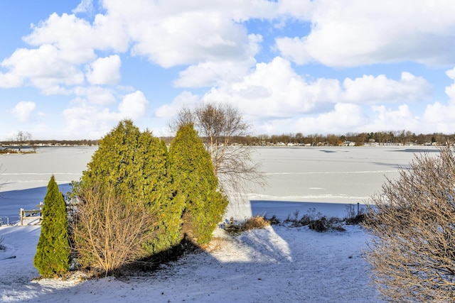 property view of water