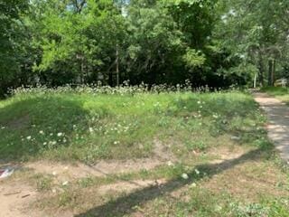 812 Page Ave, Jackson, MI 49203 - photo 2