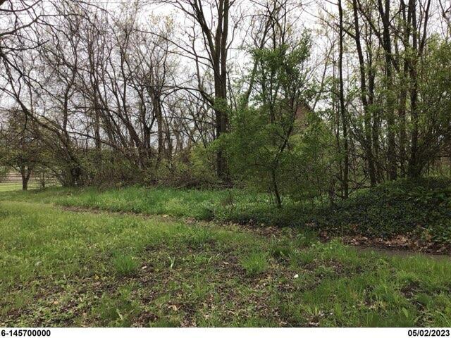 812 Page Ave, Jackson, MI 49203 - photo 5