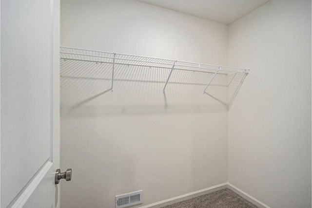 walk in closet with carpet