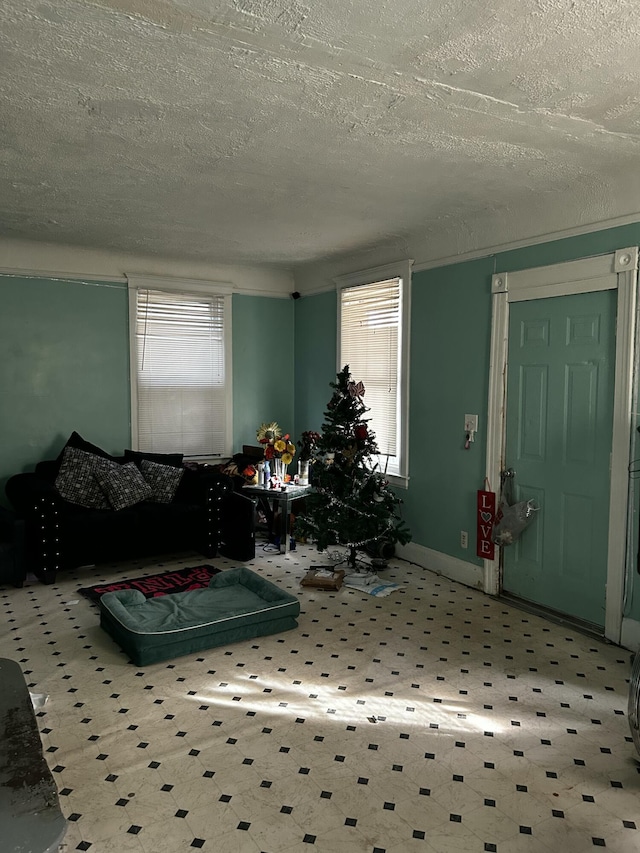 living room with a textured ceiling