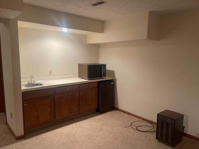 kitchen featuring light carpet, a textured ceiling, and sink