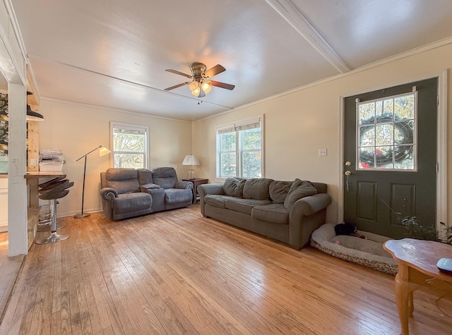 living room featuring ceiling fan, light hardwood / wood-style floors, and crown molding