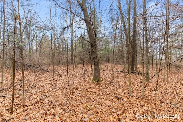 Listing photo 2 for V/L W Snows Lake Rd Unit Parcel 1, Fenwick MI 48834