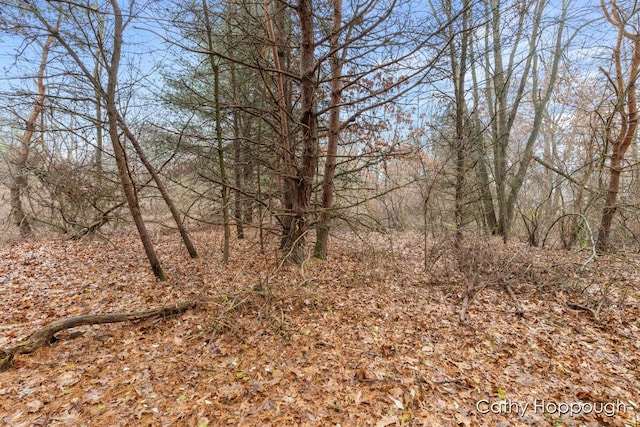 Listing photo 3 for V/L W Snows Lake Rd Unit Parcel 1, Fenwick MI 48834