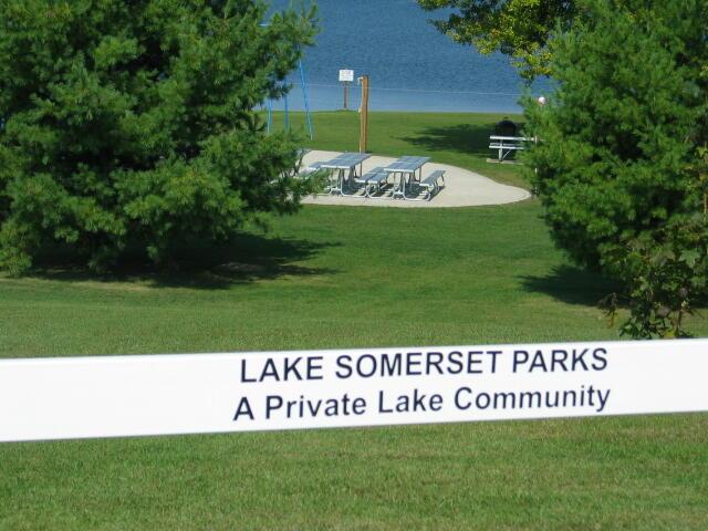 10851 Emerald Dr, Cement City, MI 49233