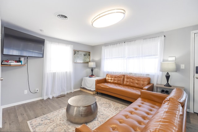 living room featuring hardwood / wood-style flooring