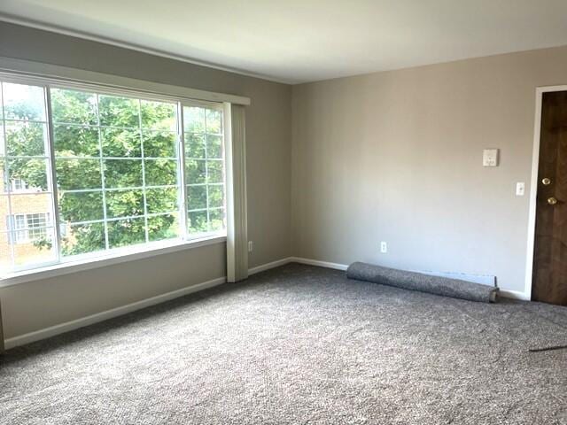 unfurnished room with carpet floors and a wealth of natural light