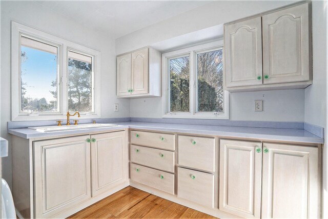 kitchen with sink and light hardwood / wood-style flooring