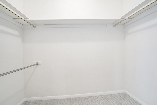 spacious closet featuring carpet