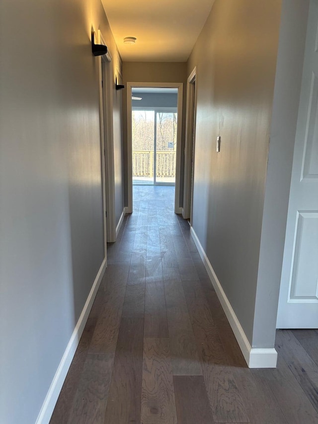 hall with dark hardwood / wood-style flooring