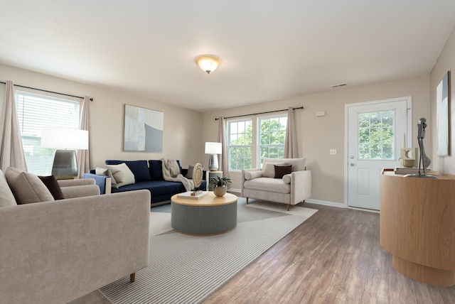 living room with a healthy amount of sunlight and wood-type flooring