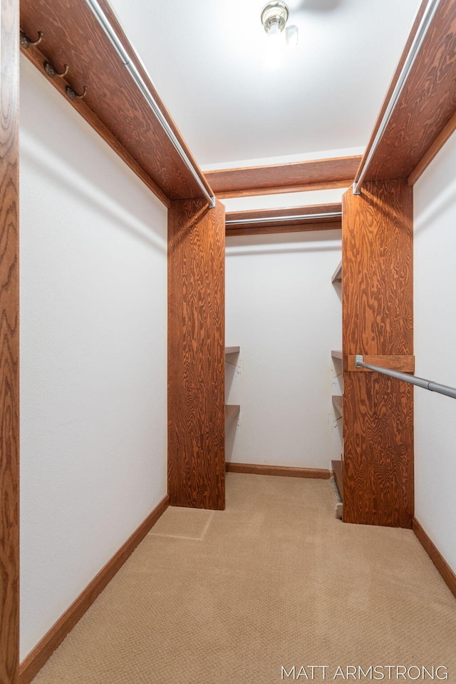 spacious closet featuring light colored carpet