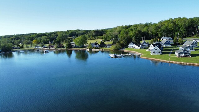 property view of water