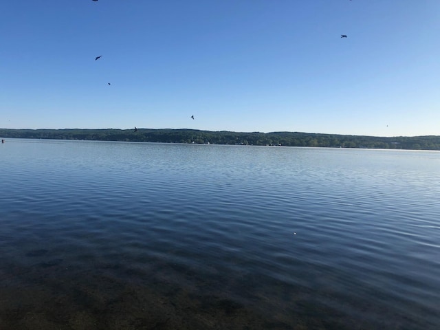 view of water feature