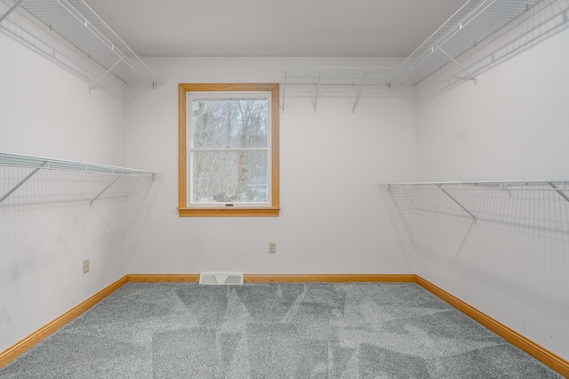 walk in closet featuring carpet flooring