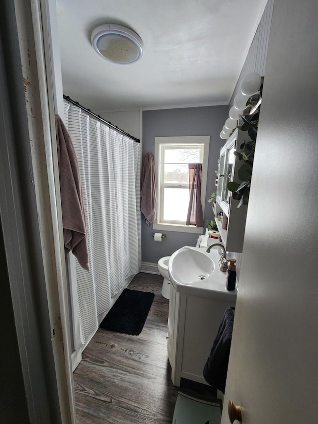 bathroom featuring vanity, toilet, and wood-type flooring