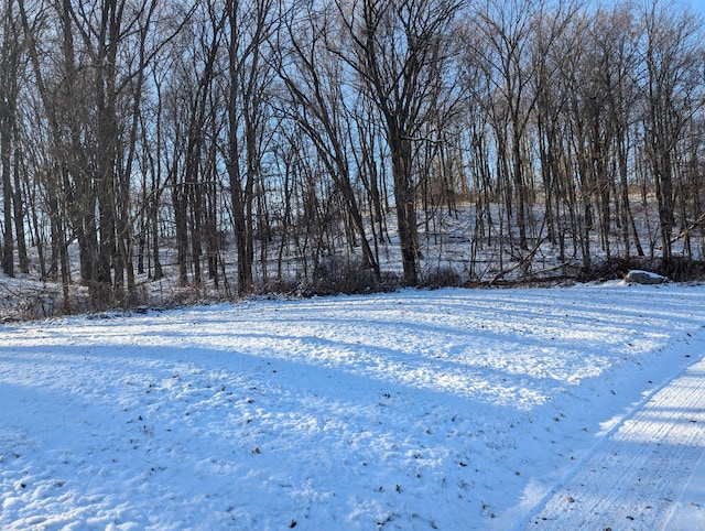 Listing photo 3 for LOT65 Hosford Dr, Ionia MI 48846