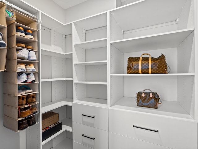 view of spacious closet