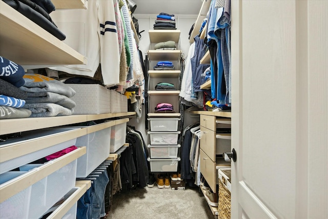 walk in closet featuring light carpet