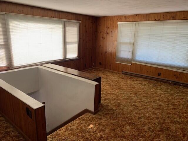 interior space with dark colored carpet, a baseboard radiator, and wooden walls