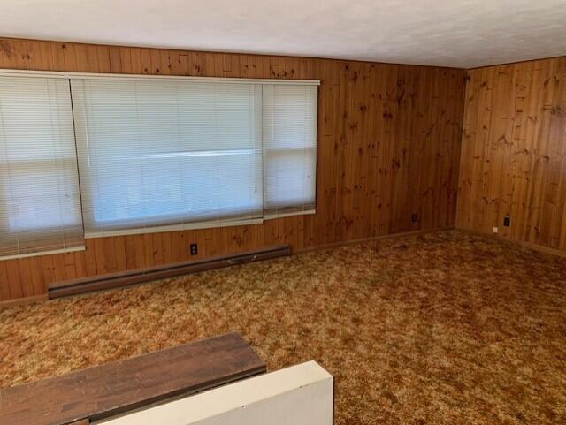 spare room with baseboard heating, wood walls, and carpet floors