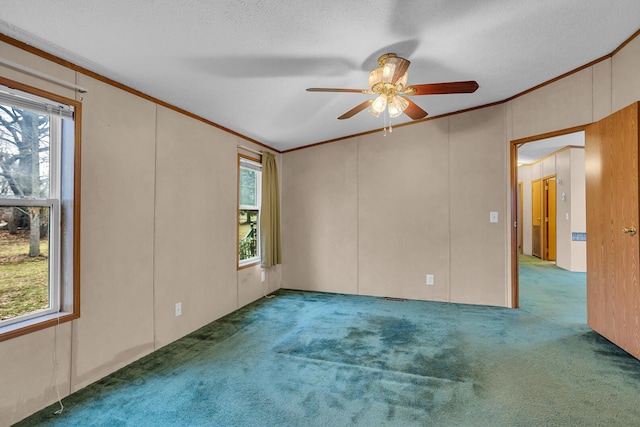 carpeted spare room featuring a textured ceiling, plenty of natural light, and ceiling fan