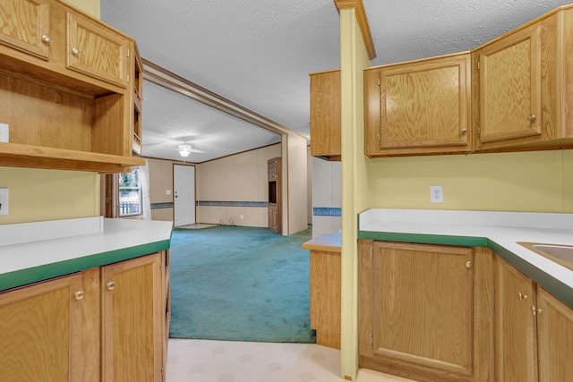 kitchen featuring light carpet and a textured ceiling