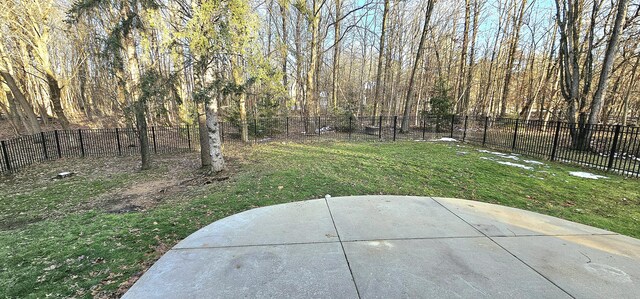 view of yard featuring a patio area