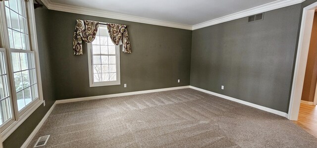 unfurnished room featuring carpet floors and crown molding