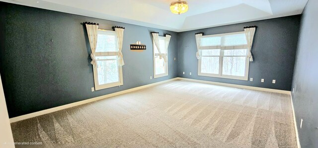 unfurnished room featuring carpet flooring and a raised ceiling