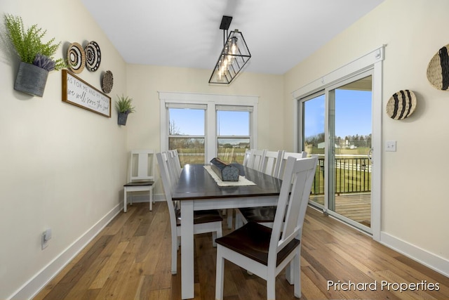 dining room with hardwood / wood-style floors and a wealth of natural light