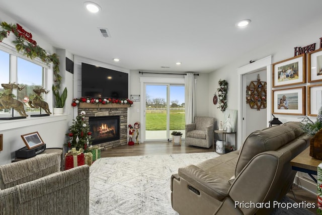 living room with hardwood / wood-style floors, a stone fireplace, and a healthy amount of sunlight