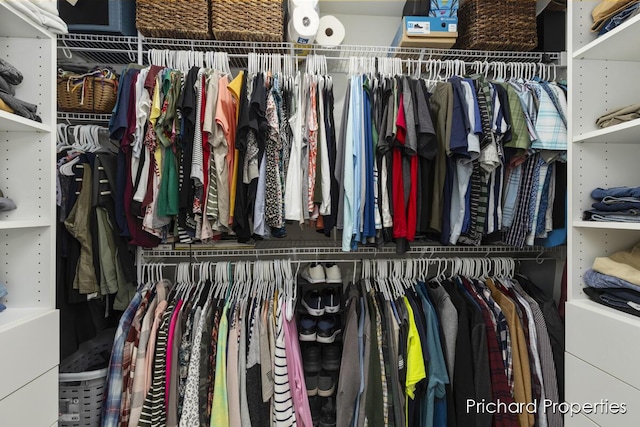 view of walk in closet