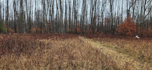 view of landscape