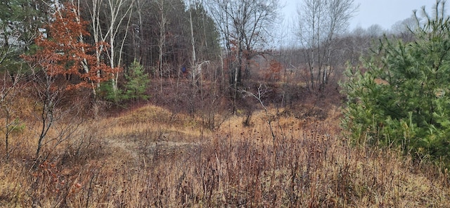 view of landscape