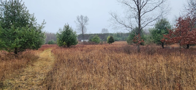 view of landscape with a rural view