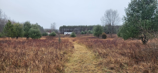 view of yard featuring a rural view