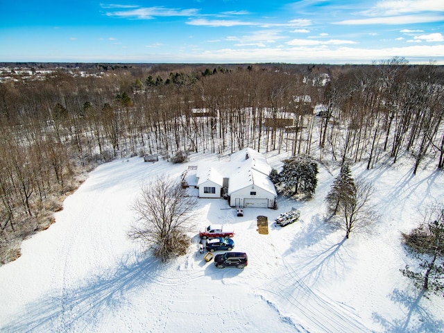 view of snowy aerial view