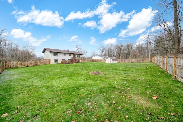 view of yard with a storage shed