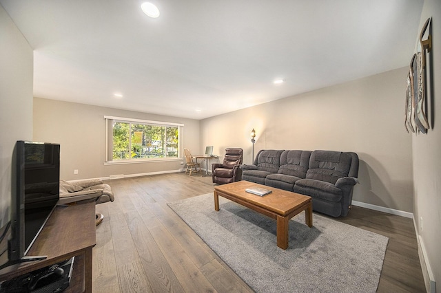 living room featuring dark wood-type flooring