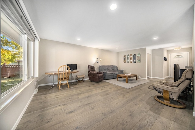 living room featuring hardwood / wood-style flooring