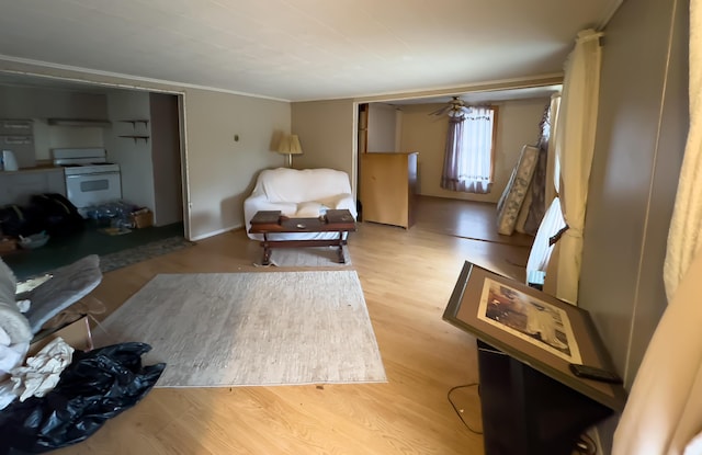 living room featuring ceiling fan and light wood-type flooring