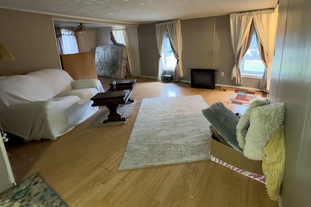 living room featuring light hardwood / wood-style floors, a healthy amount of sunlight, and crown molding