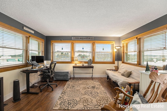 office area featuring a textured ceiling, dark hardwood / wood-style floors, and a wealth of natural light