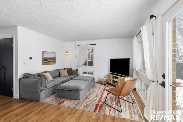 living room with hardwood / wood-style flooring and a textured ceiling