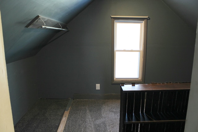 additional living space with carpet, a wealth of natural light, and vaulted ceiling